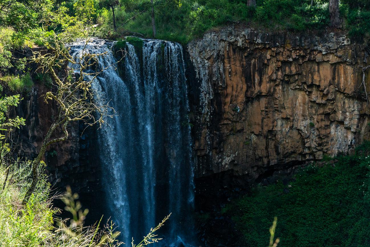 Trentham Falls Riparide