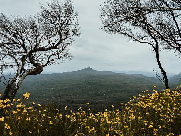 Photo 2 for Morton National Park