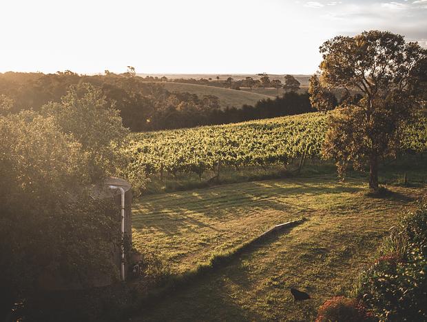 Photo 6 for Shaws Road Winery