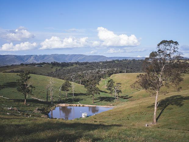 Photo 3 for Wandering Around the Green Hills