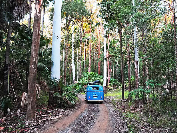 Photo 9 for Boatman's Cottage Wallis Lake