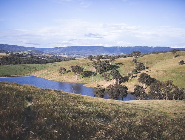 Photo 12 for Wandering Around the Green Hills