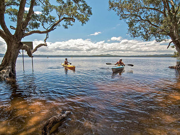 Photo 10 for Boatman's Cottage Wallis Lake