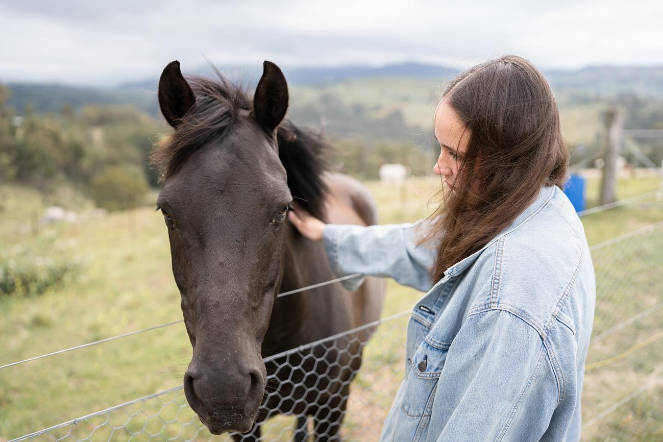 Visit The Farm Animals Riparide