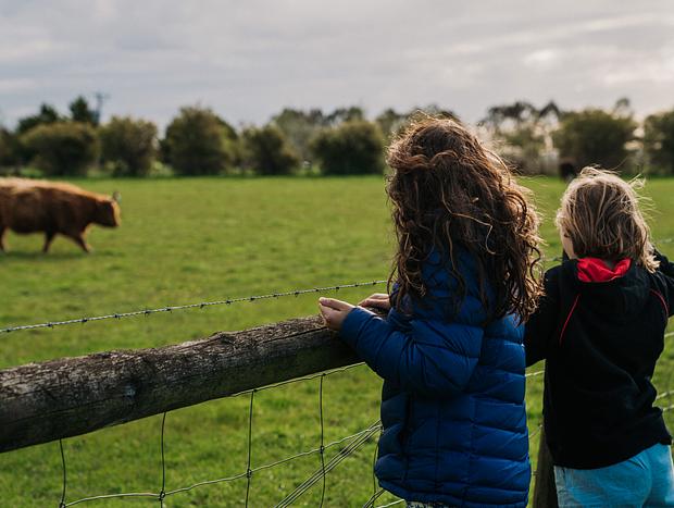 Photo 2 for Local Farms at Yarragon