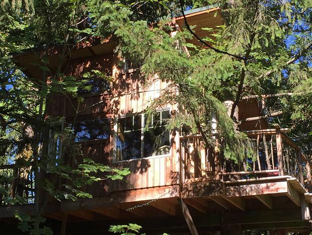 Photo 20 for Squirrel's Nest Treehouse