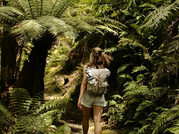 Photo 2 for Hike the Tarawera Trail and Relax at Hot Water Beach