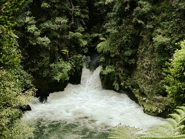 Photo 3 for Discover Okere Falls