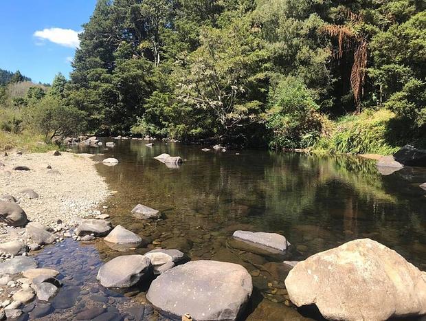Photo 27 for The Dome Waikino - Privacy In Nature