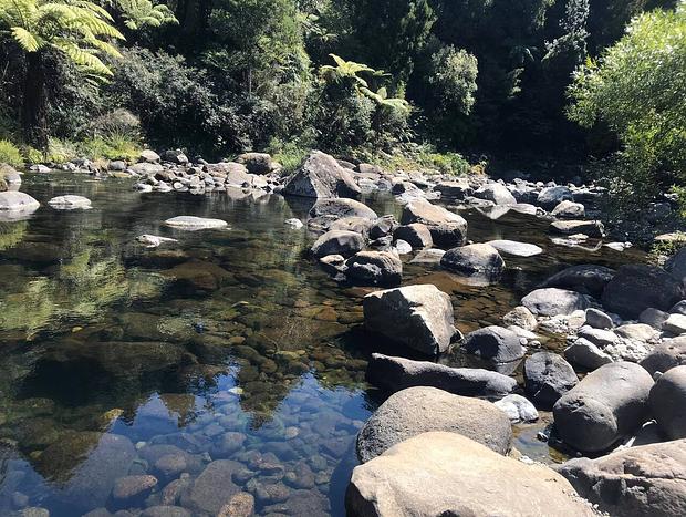 Photo 29 for The Dome Waikino - Privacy In Nature