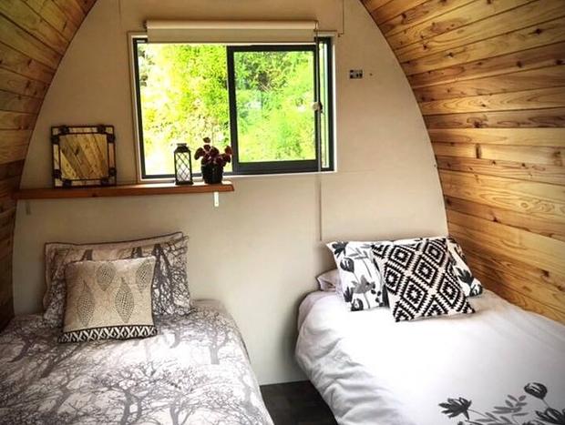 Photo 9 for The Dome Waikino - Privacy In Nature