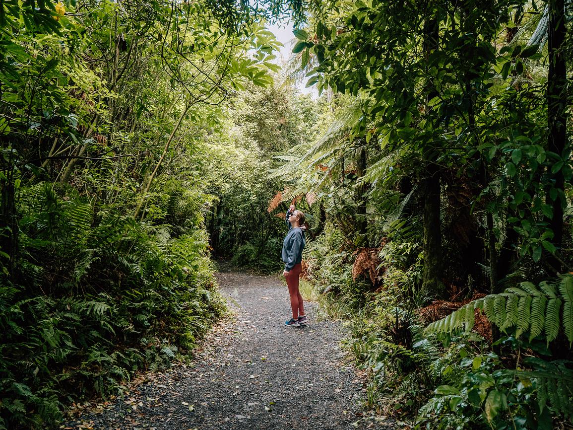 Harewood Grange Country Escape Barn for Rent in Raglan, Hamilton