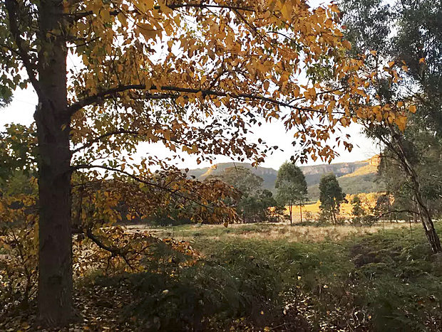 Photo 16 for Potters Cottage - 100 acres of paradise!