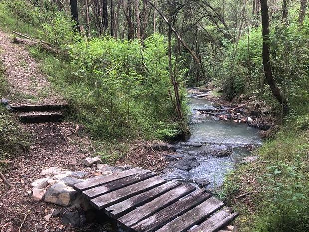 Photo 21 for Valley Views Dog Friendly Holidays NSW Macleay Valley