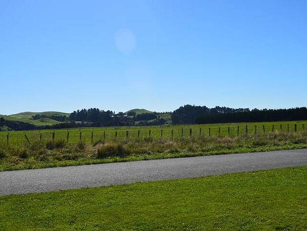 Photo 21 for The Kereru Lodge Gospel Hall - Private Spa-Pool