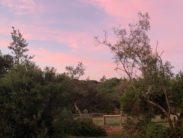 Photo 14 for The Rookery at Venus Bay