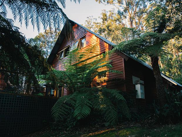 Photo 25 for Timber Top Lodge - unwind in a forest retreat