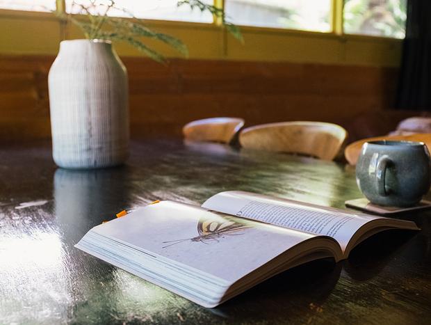 Photo 9 for Timber Top Lodge - unwind in a forest retreat