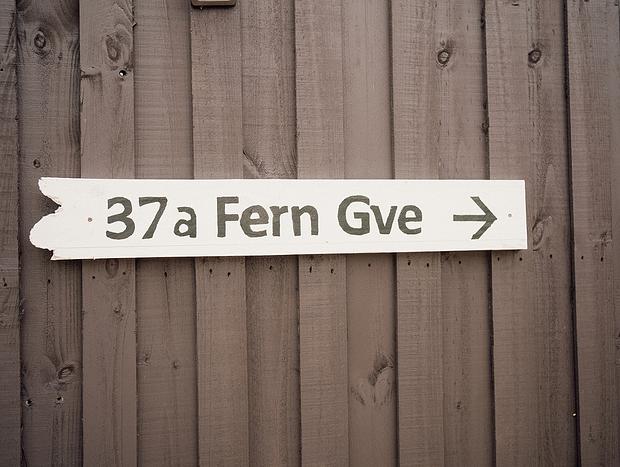 Photo 14 for Fern Studio