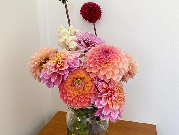 Photo 7 for Mokonui Cottage - Farmstay Rere Gisborne