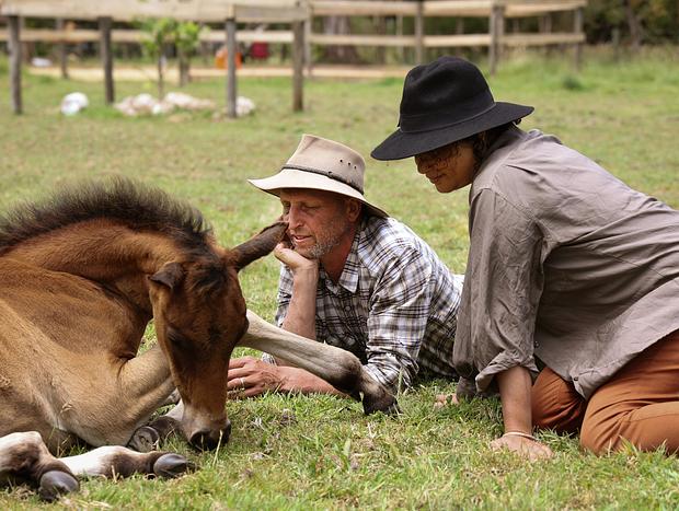 Photo 10 for 'Seahorse' At Wattle Bank Farm