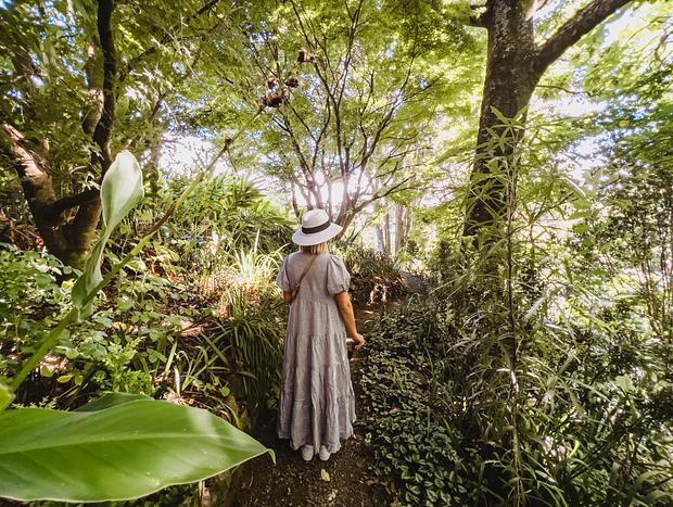 Photo 1 for Katikati Bird Gardens