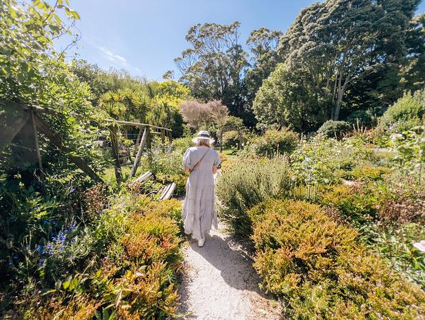Photo 3 for Katikati Bird Gardens