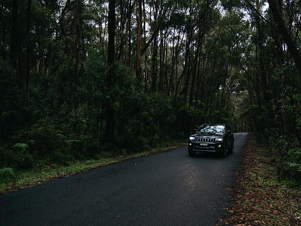 Photo 3 for Take a Slow Drive Through the Rainforest that Leads To The Property