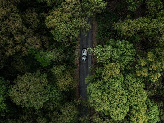 Photo 1 for Take a Slow Drive Through the Rainforest that Leads To The Property