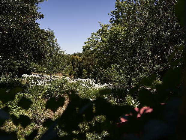 Photo 2 for Daylesford Convent