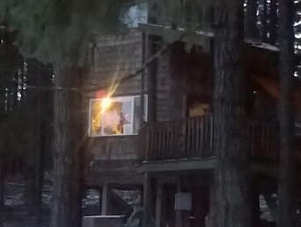 Photo 24 for Romantic Wilderness Tree House-Private Hot Tub!