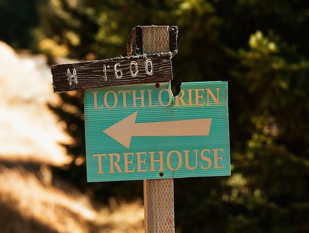 Photo 27 for Romantic Wilderness Tree House-Private Hot Tub!