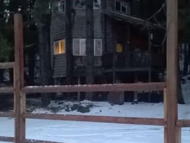 Photo 22 for Romantic Wilderness Tree House-Private Hot Tub!