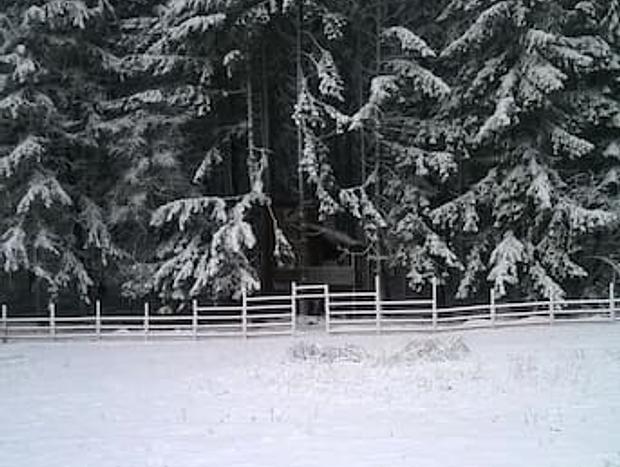 Photo 30 for Romantic Wilderness Tree House-Private Hot Tub!