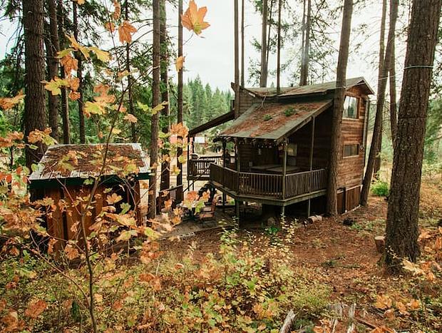 Photo 19 for Romantic Wilderness Tree House-Private Hot Tub!