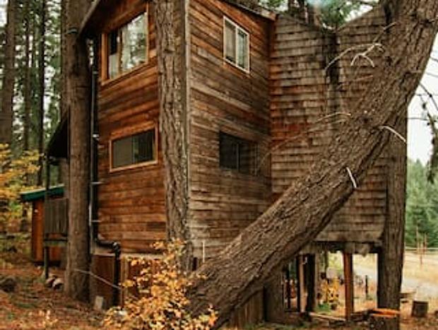 Photo 15 for Romantic Wilderness Tree House-Private Hot Tub!