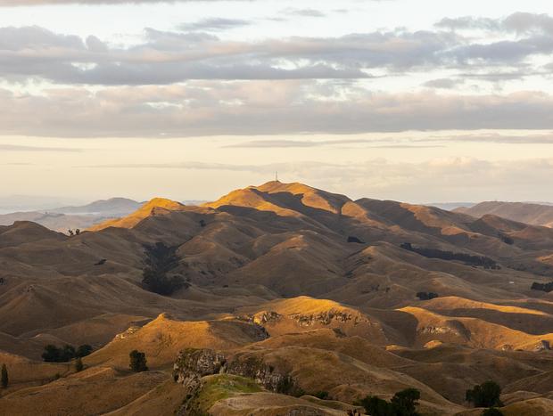 Photo 16 for Escape to the Sunny Hawke's Bay