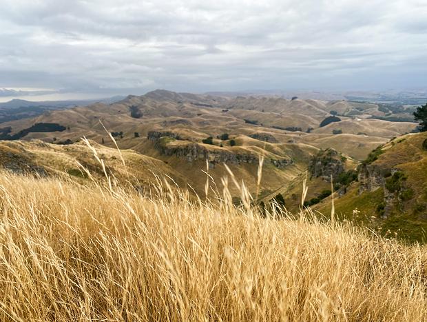 Photo 3 for Incredible Views at Te Mata Peak