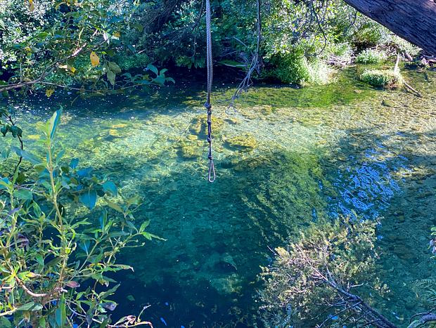 Photo 4 for Swim at Maraetotara Falls