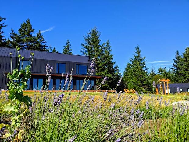 Photo 8 for Private Guesthouse On Stilts With Forest Views