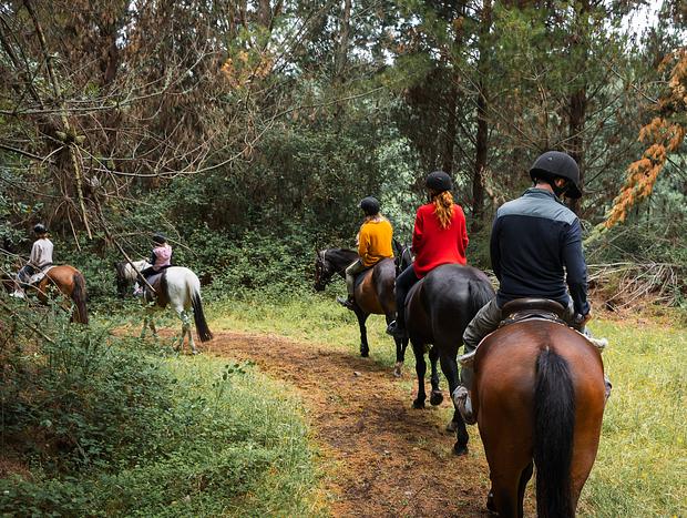 Photo 1 for Horse Trekking