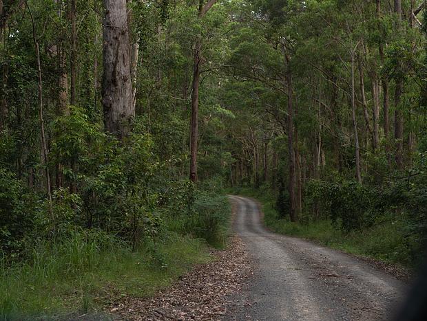 Photo 15 for Escape to the Bush