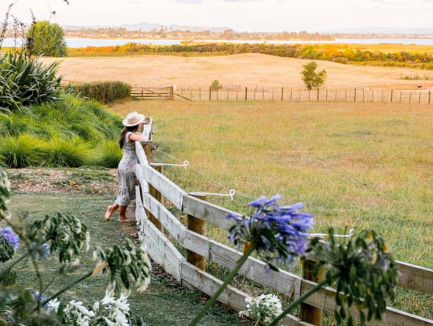 Photo 15 for Farm and a View for You