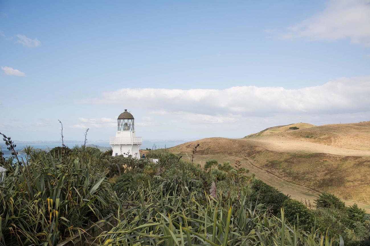 Journey up to Manukau Heads Lighthouse Riparide
