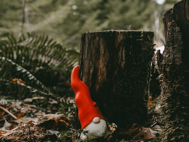 Photo 3 for Gnome Land At The Wrigley Tiny Home