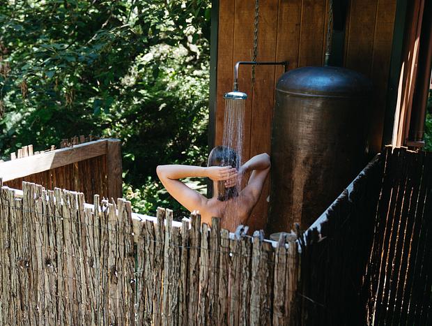 Photo 2 for Off-Grid Cabin in Ancient Totara Grove