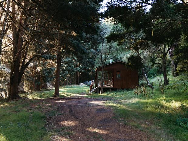 Photo 11 for Off-Grid Cabin in Ancient Totara Grove