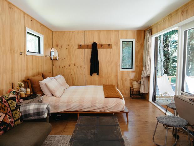 Photo 4 for Off-Grid Cabin in Ancient Totara Grove