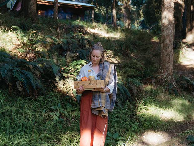 Photo 14 for Off-Grid Cabin in Ancient Totara Grove