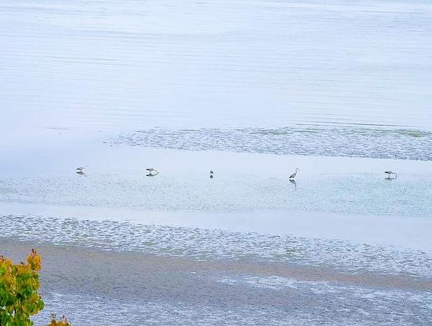 Photo 32 for Waterfront Beachfront Cottage with Amazing Views